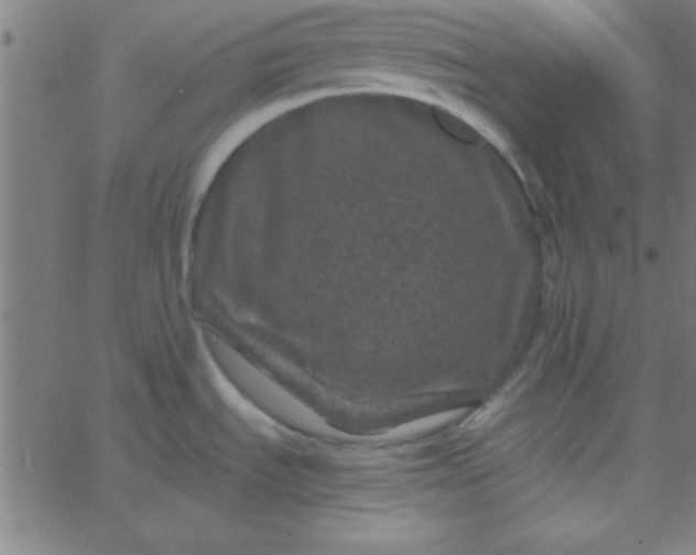 X0000067911535200604271905