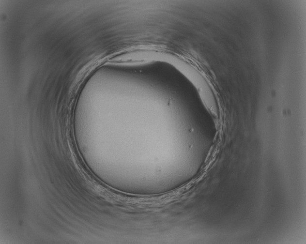 X0000067910001200605041655