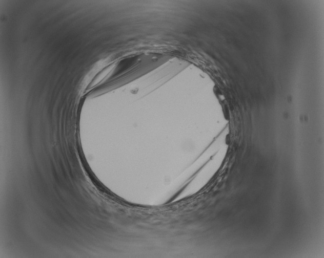 X0000067910003200605041655