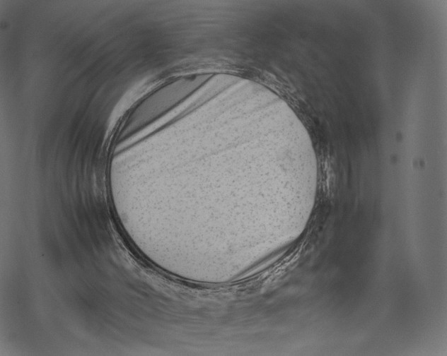 X0000067910004200605041655