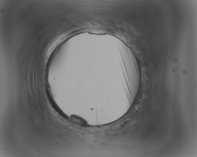 X0000067910007200605041655