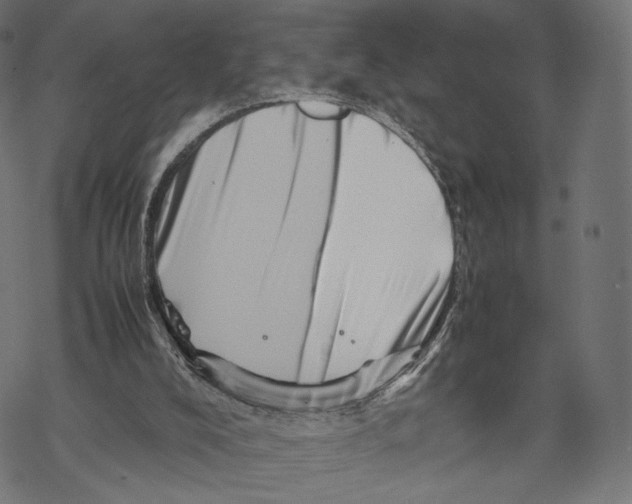 X0000067910008200605041655