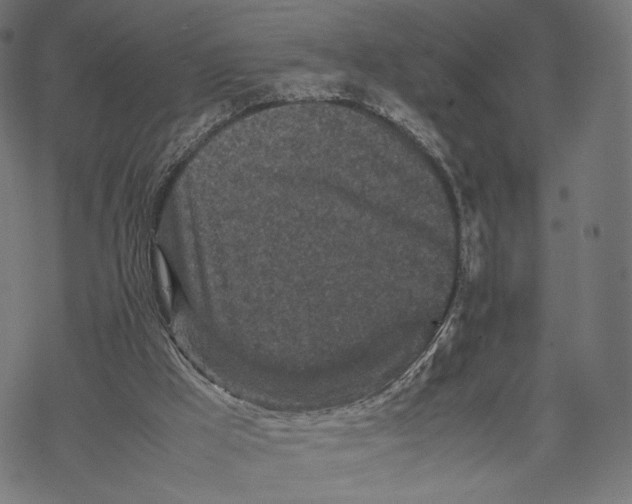 X0000067910009200605041655