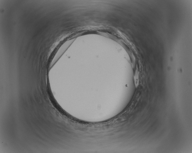 X0000067910011200605041655