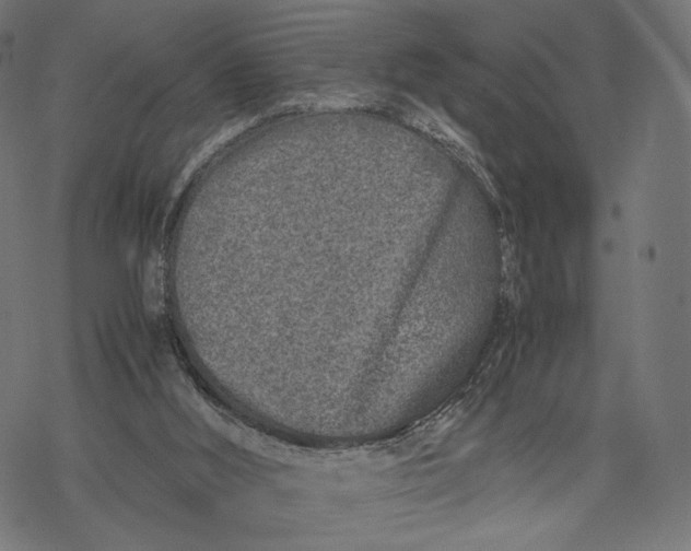 X0000067910012200605041655