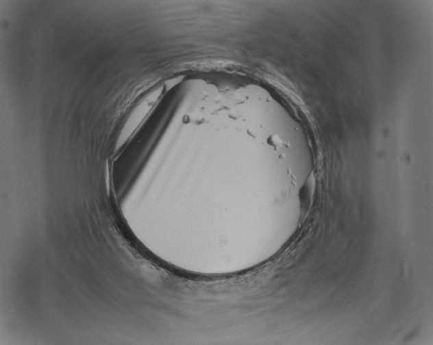 X0000067910013200605041655