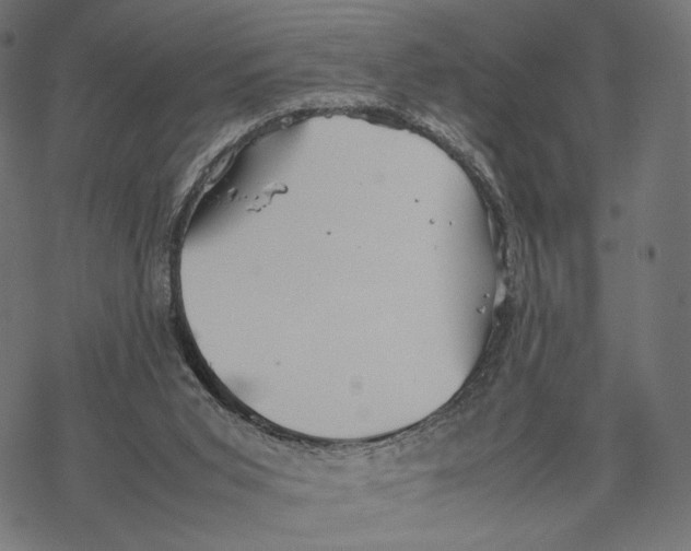 X0000067910015200605041655