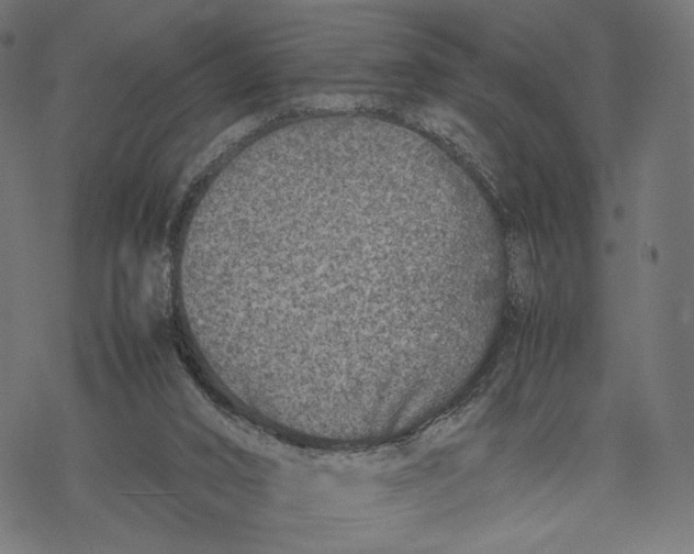 X0000067910016200605041655