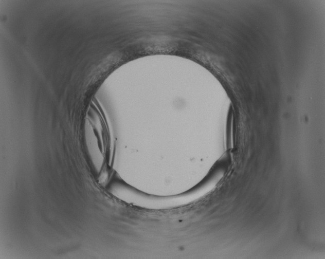 X0000067910017200605041655