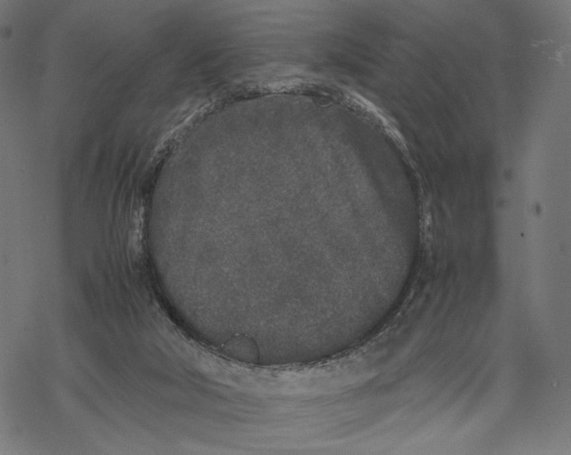 X0000067910018200605041655