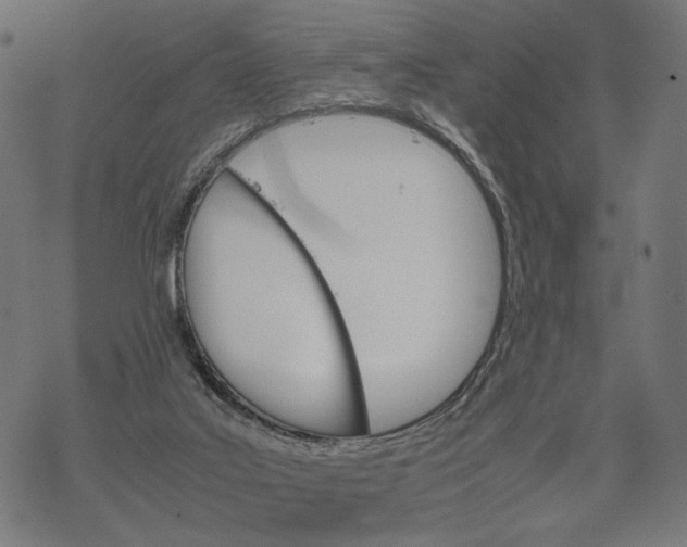 X0000067910019200605041655