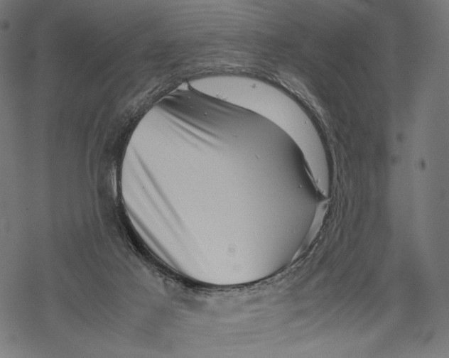 X0000067910021200605041655