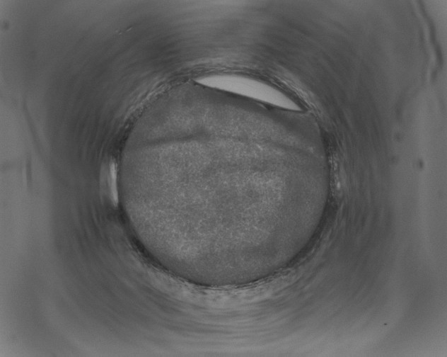 X0000067910022200605041655