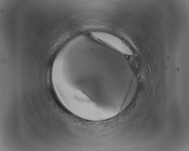 X0000067910023200605041655