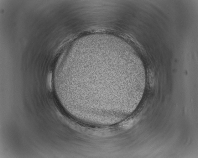 X0000067910024200605041655