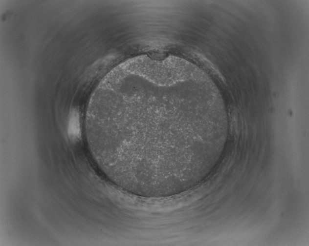 X0000067910026200605041655