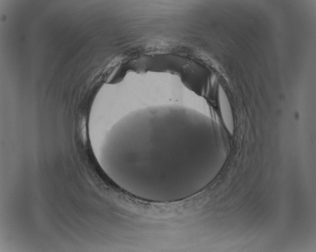 X0000067910027200605041655