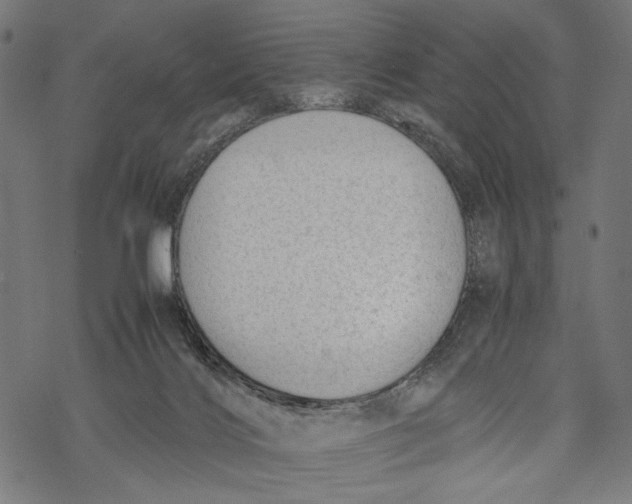 X0000067910028200605041655