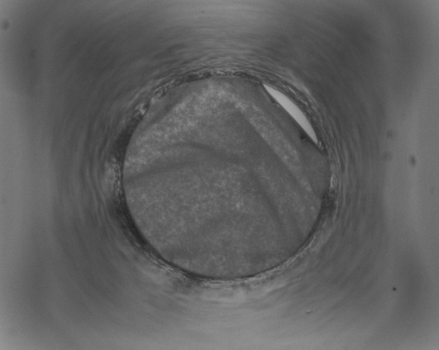 X0000067910029200605041655