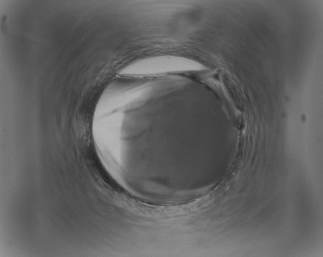 X0000067910031200605041655