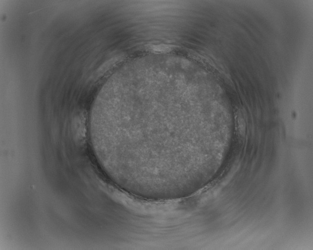 X0000067910032200605041655