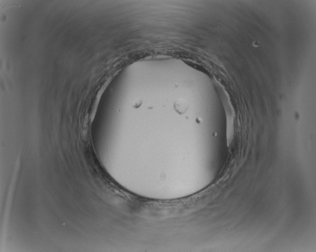 X0000067910033200605041655