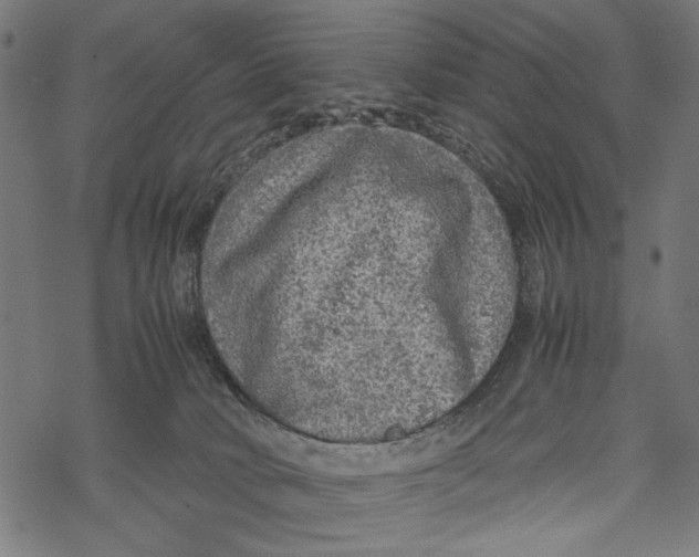 X0000067910034200605041655