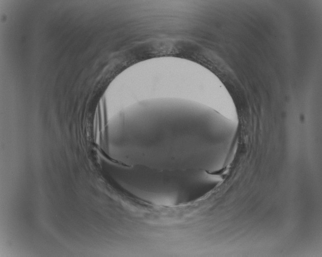 X0000067910035200605041655