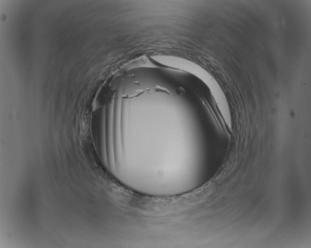 X0000067910037200605041655