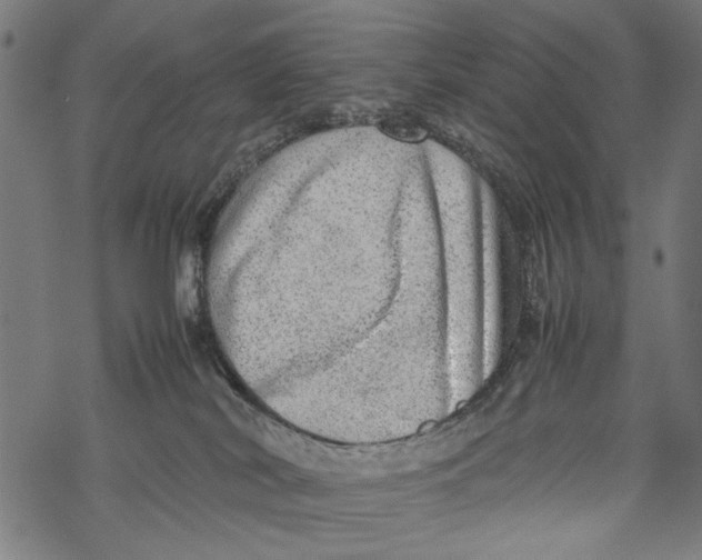 X0000067910038200605041655