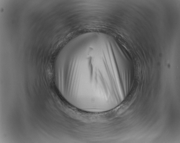 X0000067910040200605041655