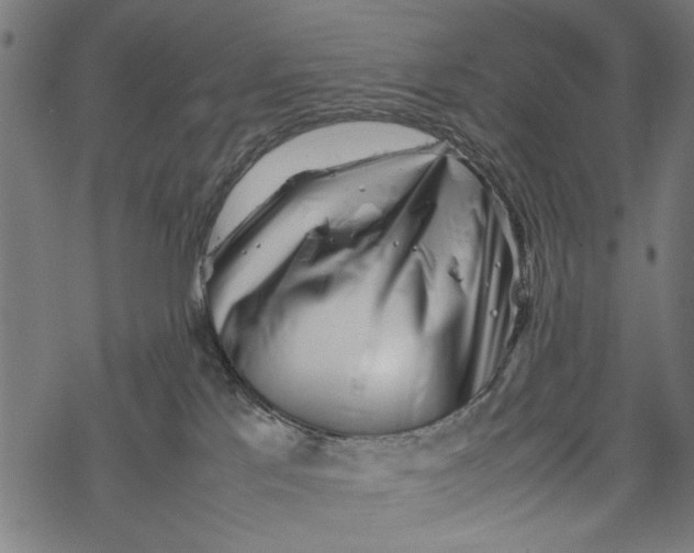 X0000067910041200605041655