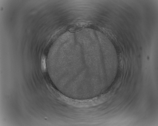 X0000067910042200605041655