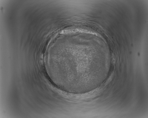 X0000067910043200605041654