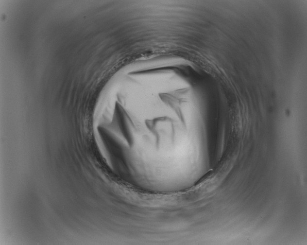 X0000067910044200605041654