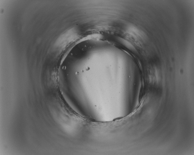 X0000067910045200605041654