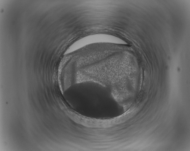 X0000067910048200605041654