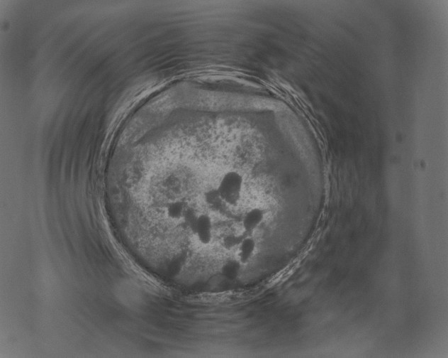 X0000067910049200605041654