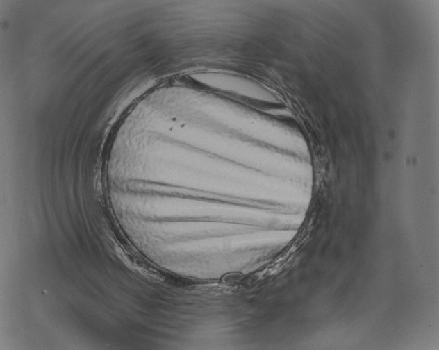 X0000067910050200605041654