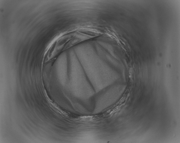 X0000067910052200605041654