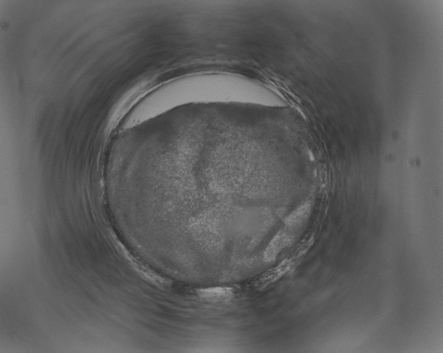 X0000067910053200605041654