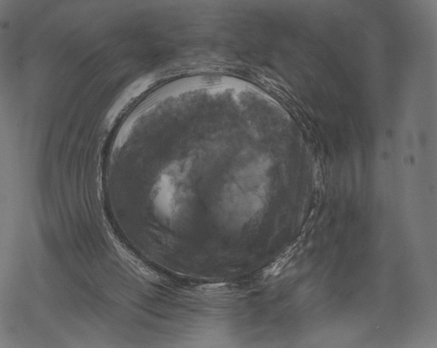 X0000067910054200605041654