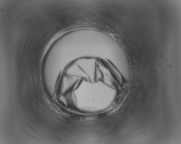 X0000067910056200605041654