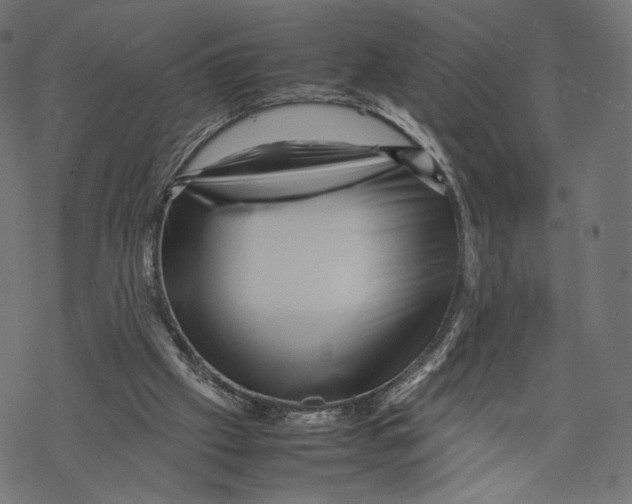 X0000067910057200605041654