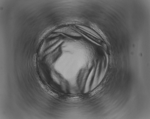 X0000067910058200605041654