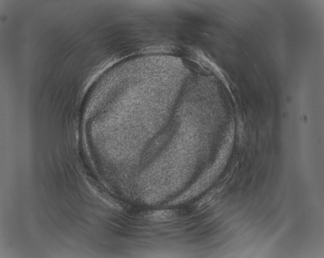 X0000067910059200605041654