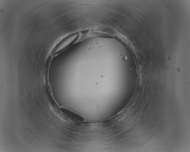 X0000067910060200605041654