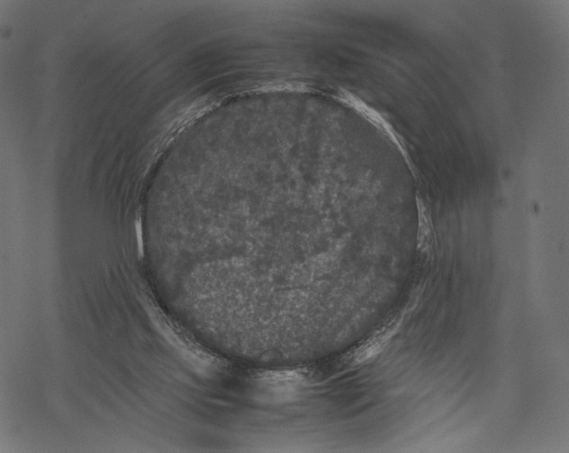 X0000067910061200605041654