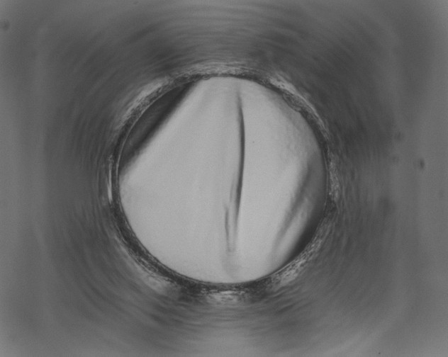 X0000067910062200605041654