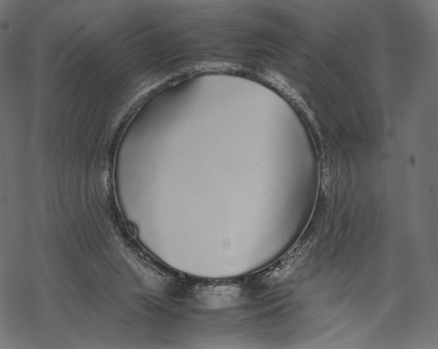 X0000067910063200605041654